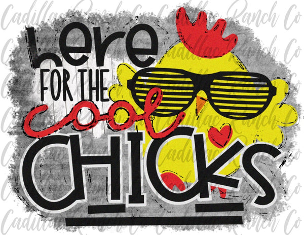 Here For The Cool Chicks, Easter sublimation transfer