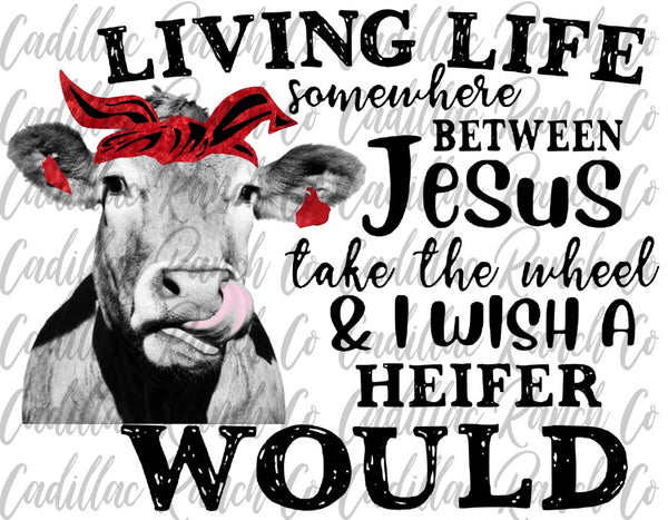 Living Life Heifer, sublimation transfer