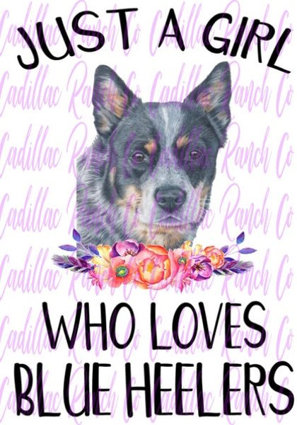 Girl Who Loves, Blue Heelers